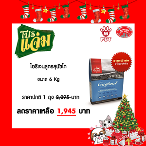 โอริเจนสุนัขโต 6 KG_13122018_154924.png